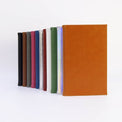 Journal notebooks standing upright in an assortment of colors.