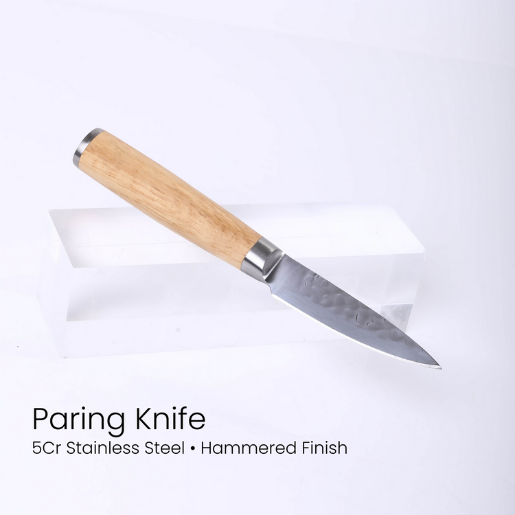 Kitchen Knife Set with Magnetic Block Stand — 5Cr Stainless Steel Full Tang Knife Set Paring Knife